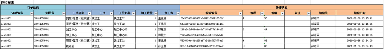 巡檢報(bào)表